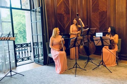 Exclusive String Trio of violins and double bass 