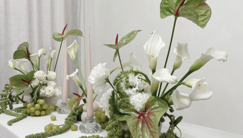 Burton’s Blooms 2025