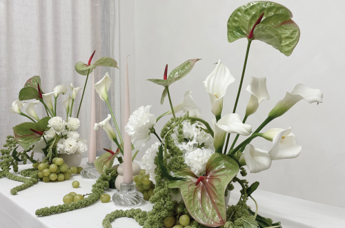 Burton’s Blooms 2025