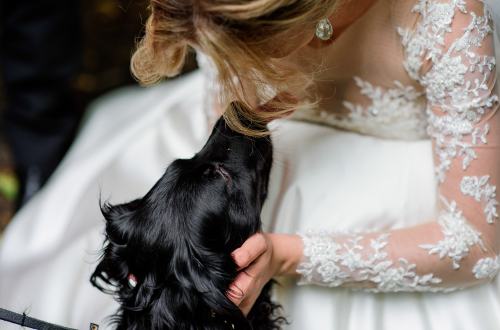 THE ROYAL KENNEL CLUB b